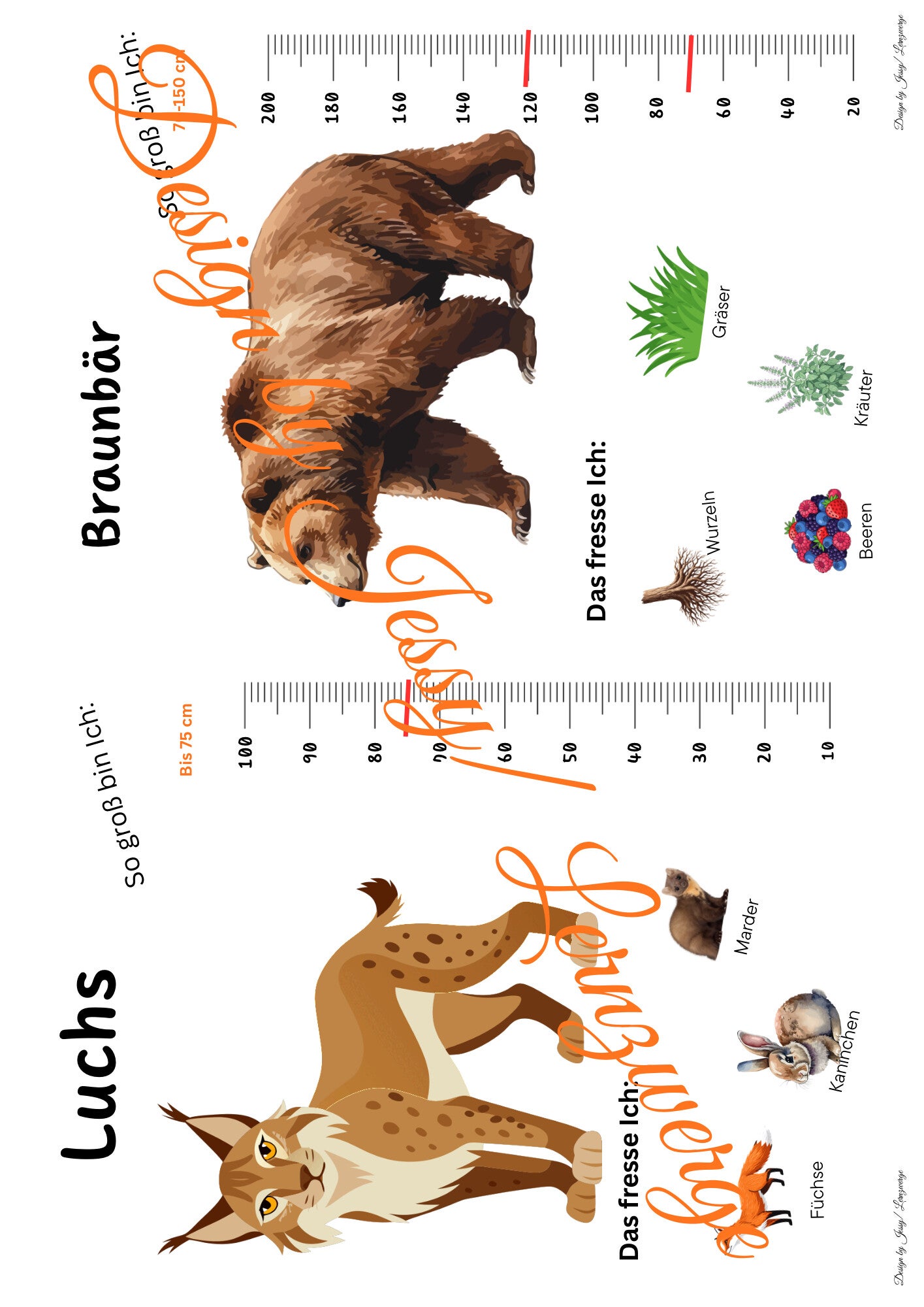 Steckbriefe Tiere Europa