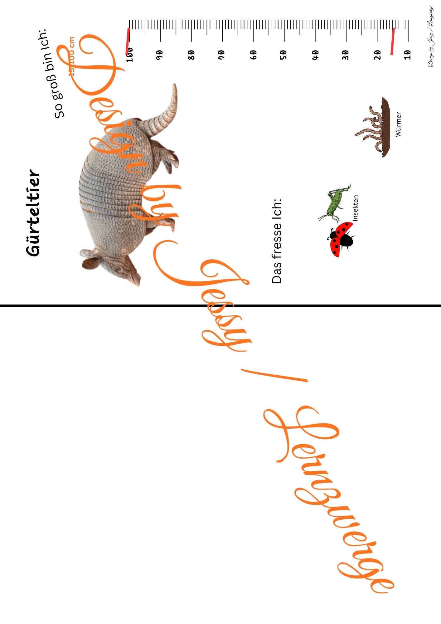 Steckbriefe Tiere Südamerika