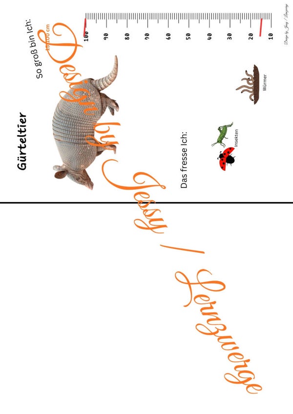 Steckbriefe Tiere Südamerika (Digital)