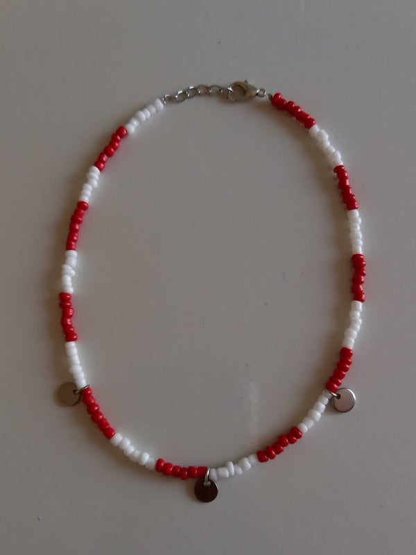 Zilveren munt ketting