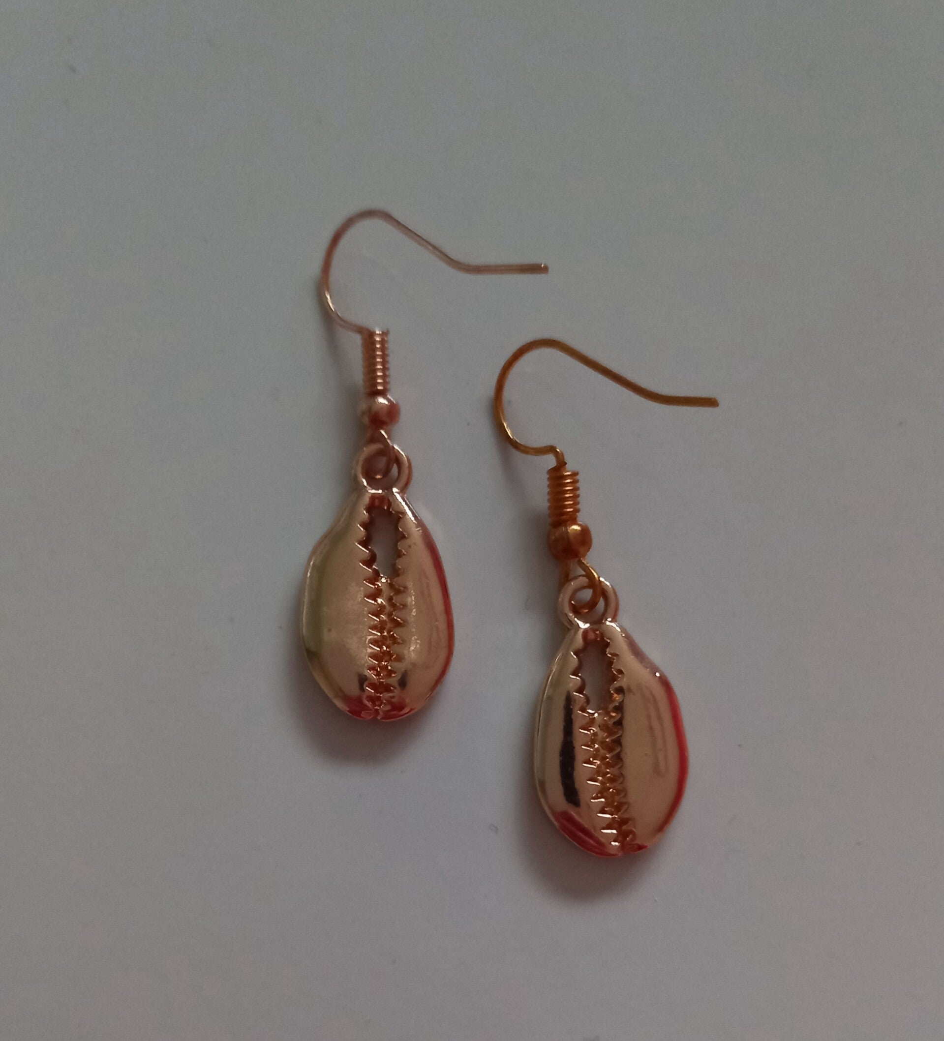 Kauri schelpen oorbellen