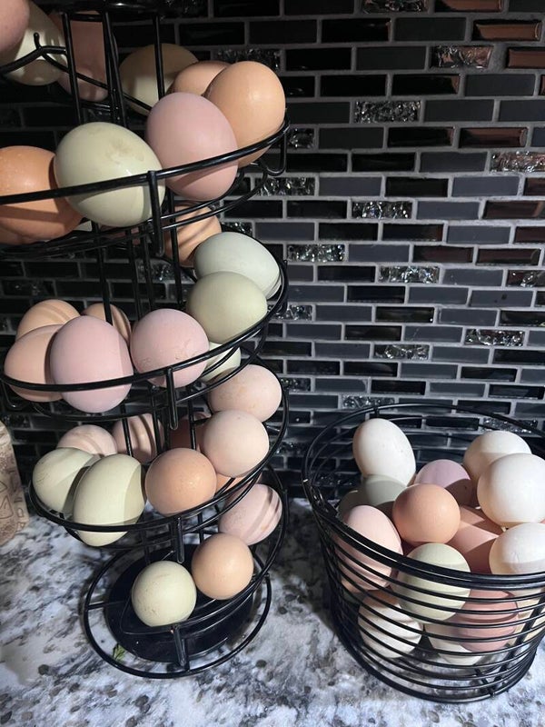 Farm Fresh Eggs