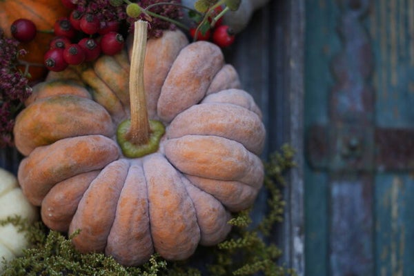 PUMPKIN season
