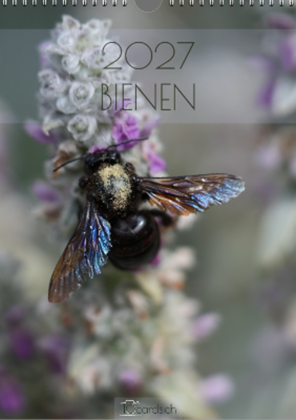 BIENEN Kalender 2027 hoch