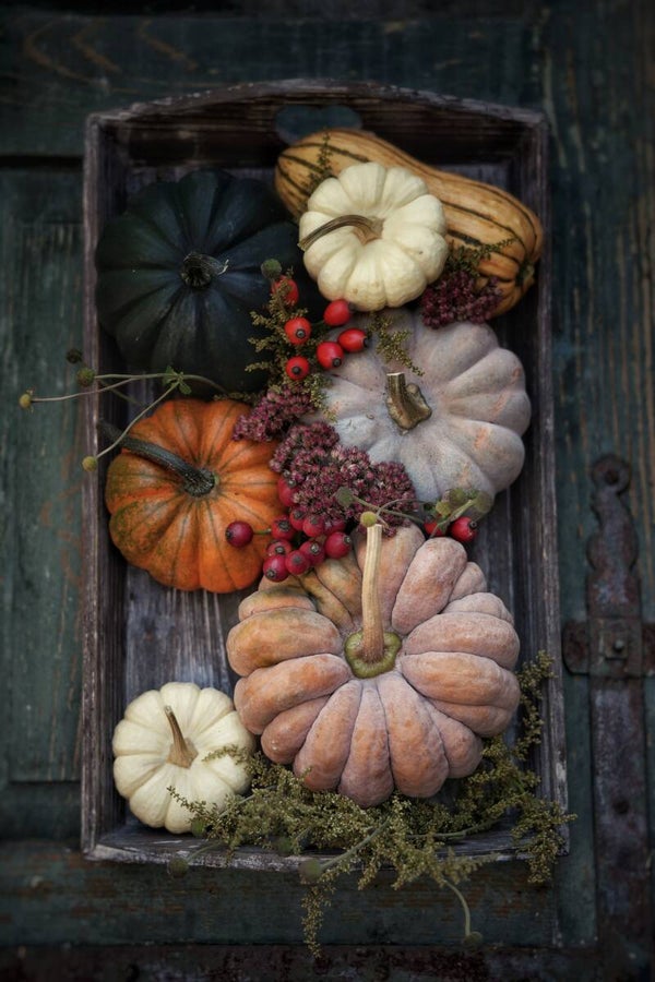 AUTUMN mood