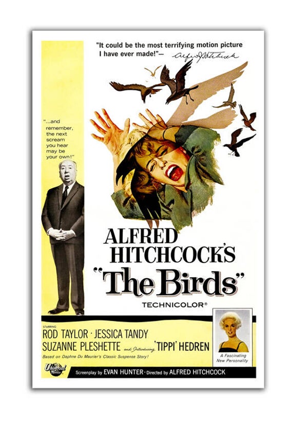 Los pajaros nºF1091