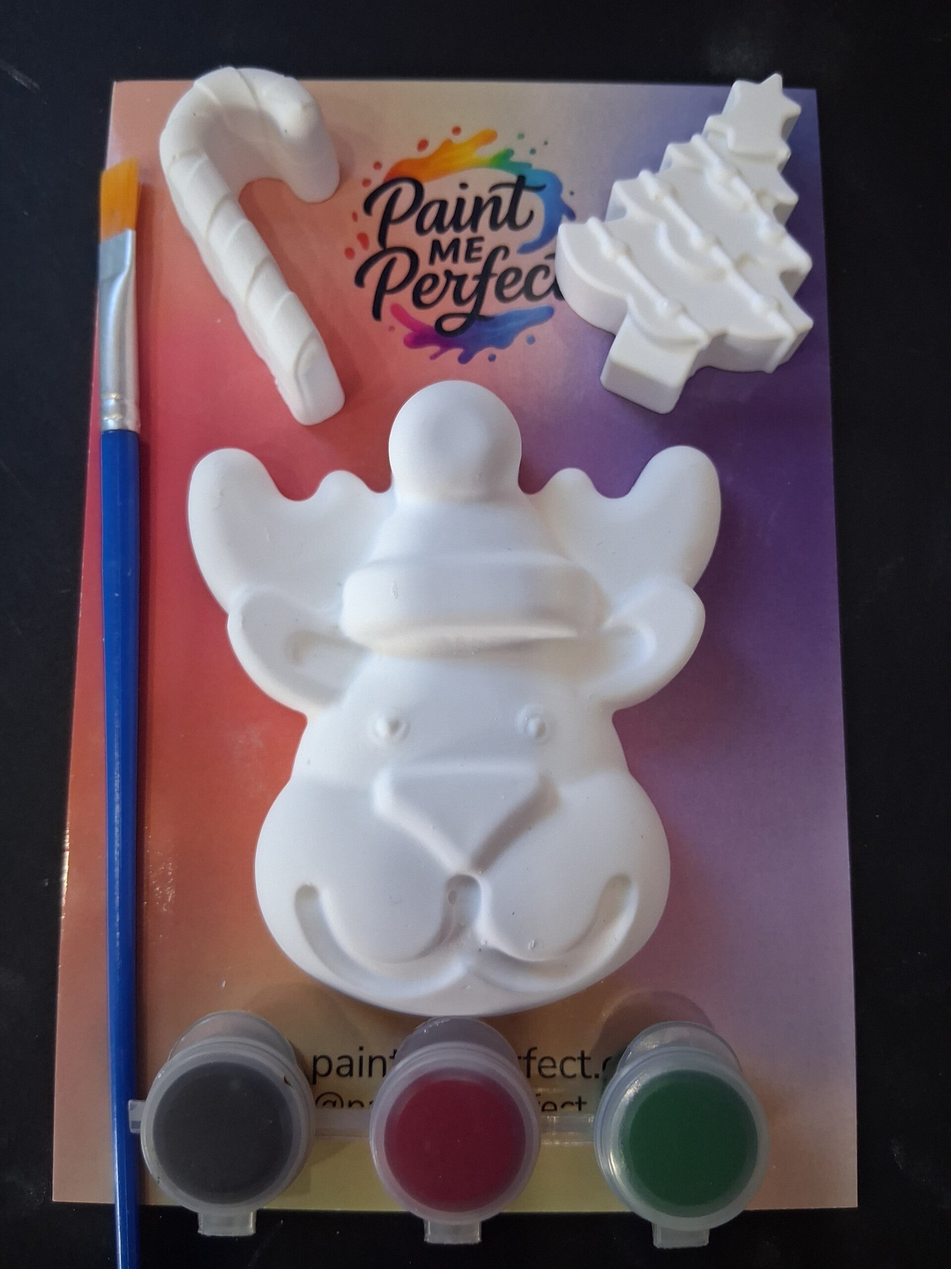 Reindeer Face Kit