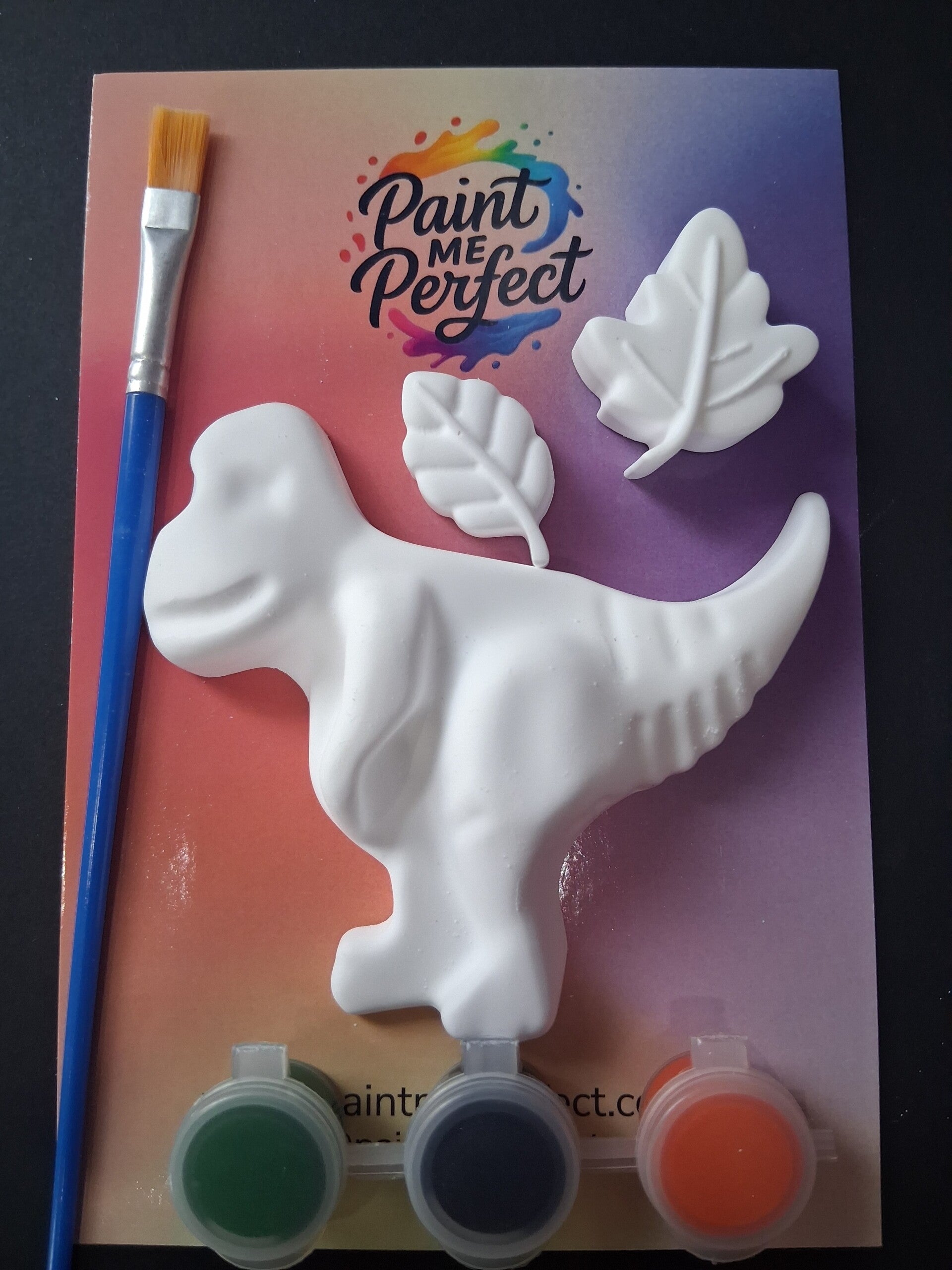 Dinosaur Kit 6