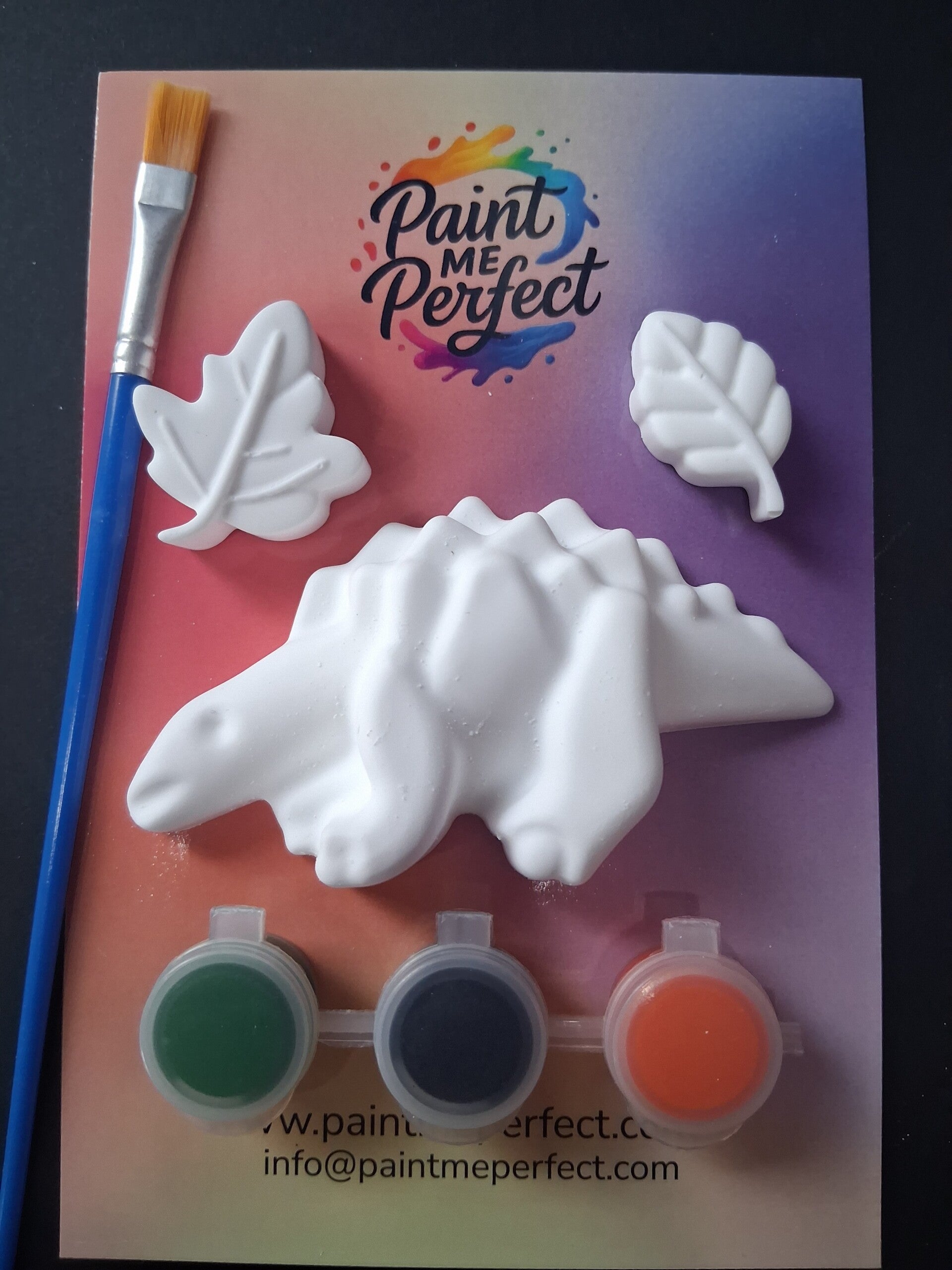 Dinosaur Kit 4
