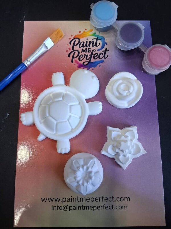 Baby Turtle Kit