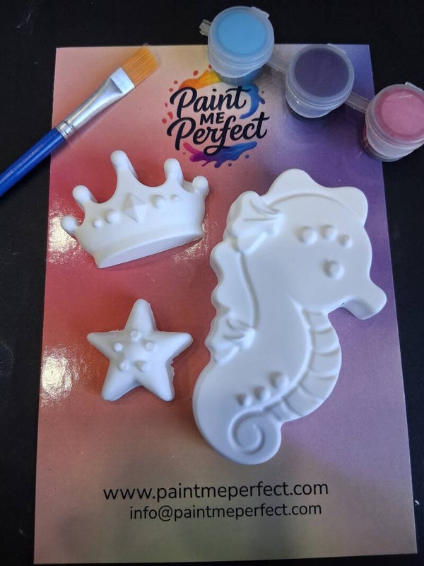 Seahorse Plaster Kit