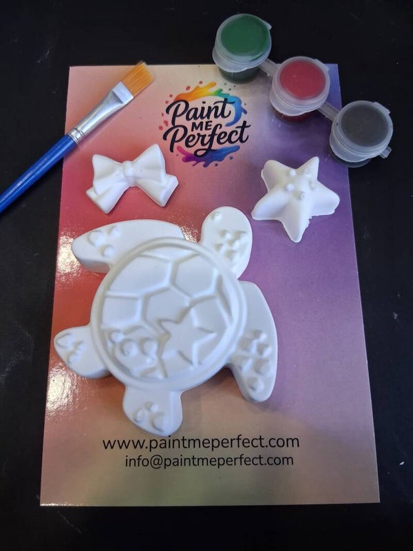 Sea Turtle Kit