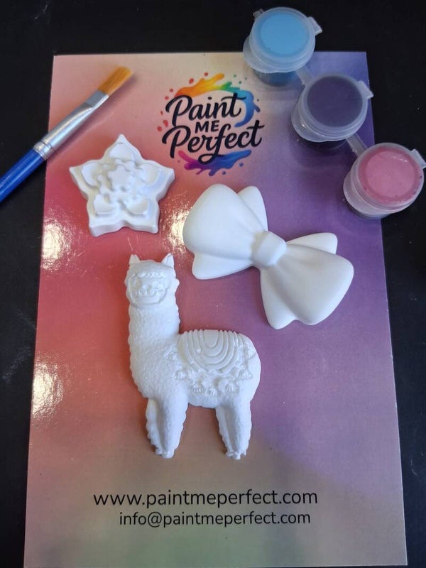 Llama Paint Kit