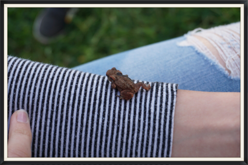 Entdeckungen an der LaneB96