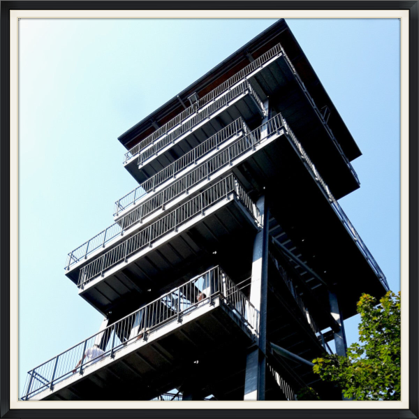 Aussichtsturm Snftenberger See