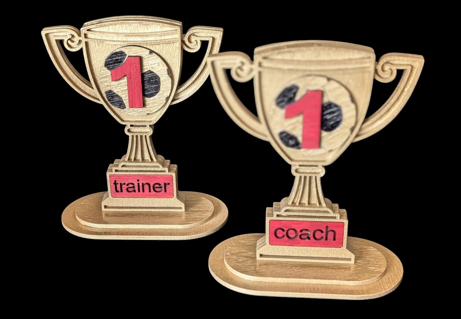 Trofee voor de Coach of Trainer