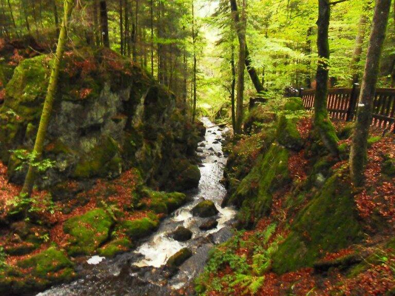 Girmont Val-d’Ajol