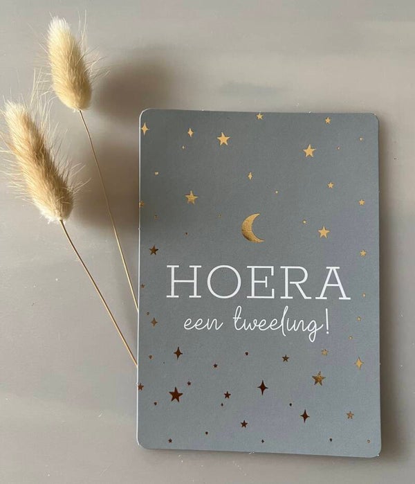 Hoera een tweeling