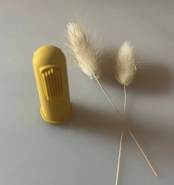 Siliconen Vingertop Tandenborstel met Opbergbox - LittleJo - Diverse kleuren