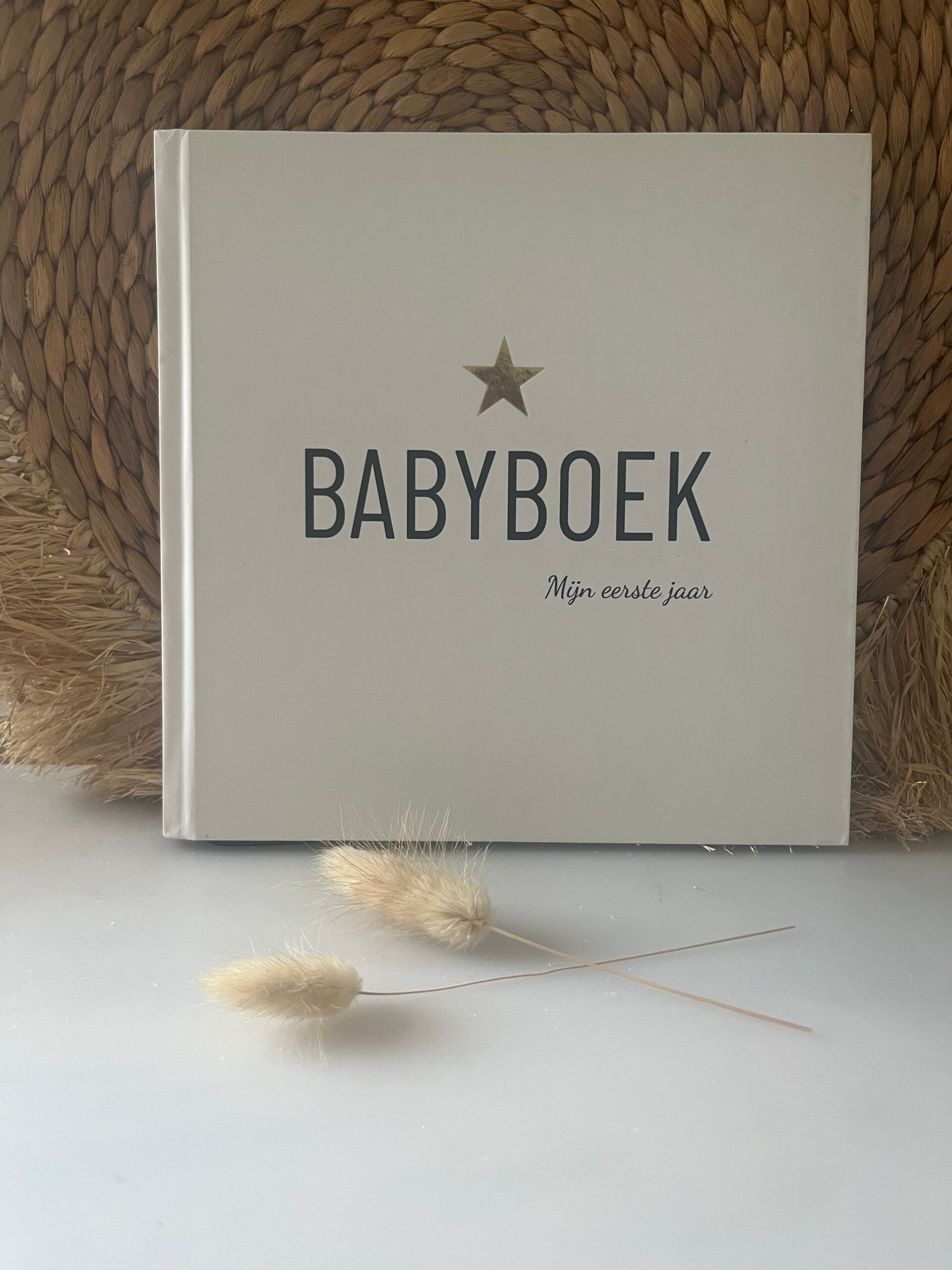 Babyboek | Mijn eerste jaar | Ster