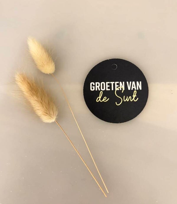 Cadeau label “Groeten van Sint” ( 5 stuks)