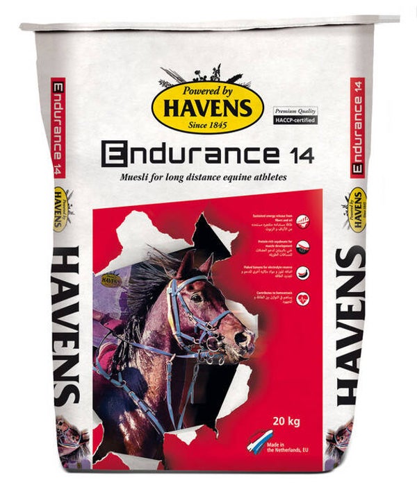 Endurance 14