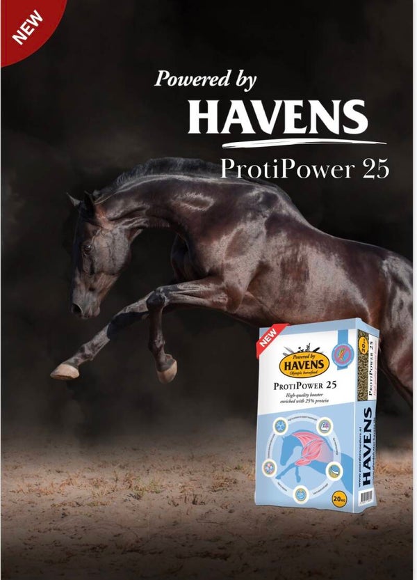 ProtiPower 25