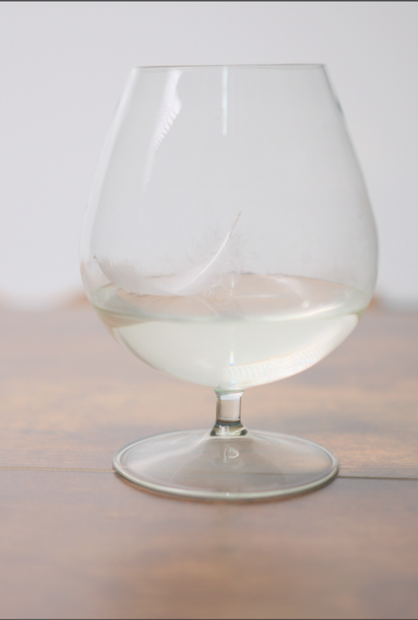 Identity Euphoria, 2025