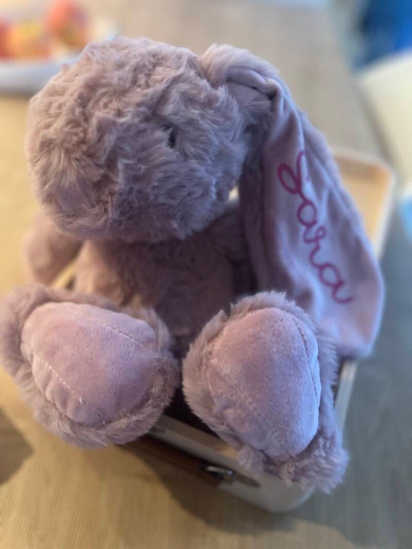 Zacht Knuffelkonijn met Naam op het Oor - Roze