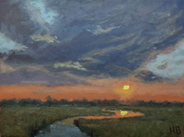 Avondlucht in landschap