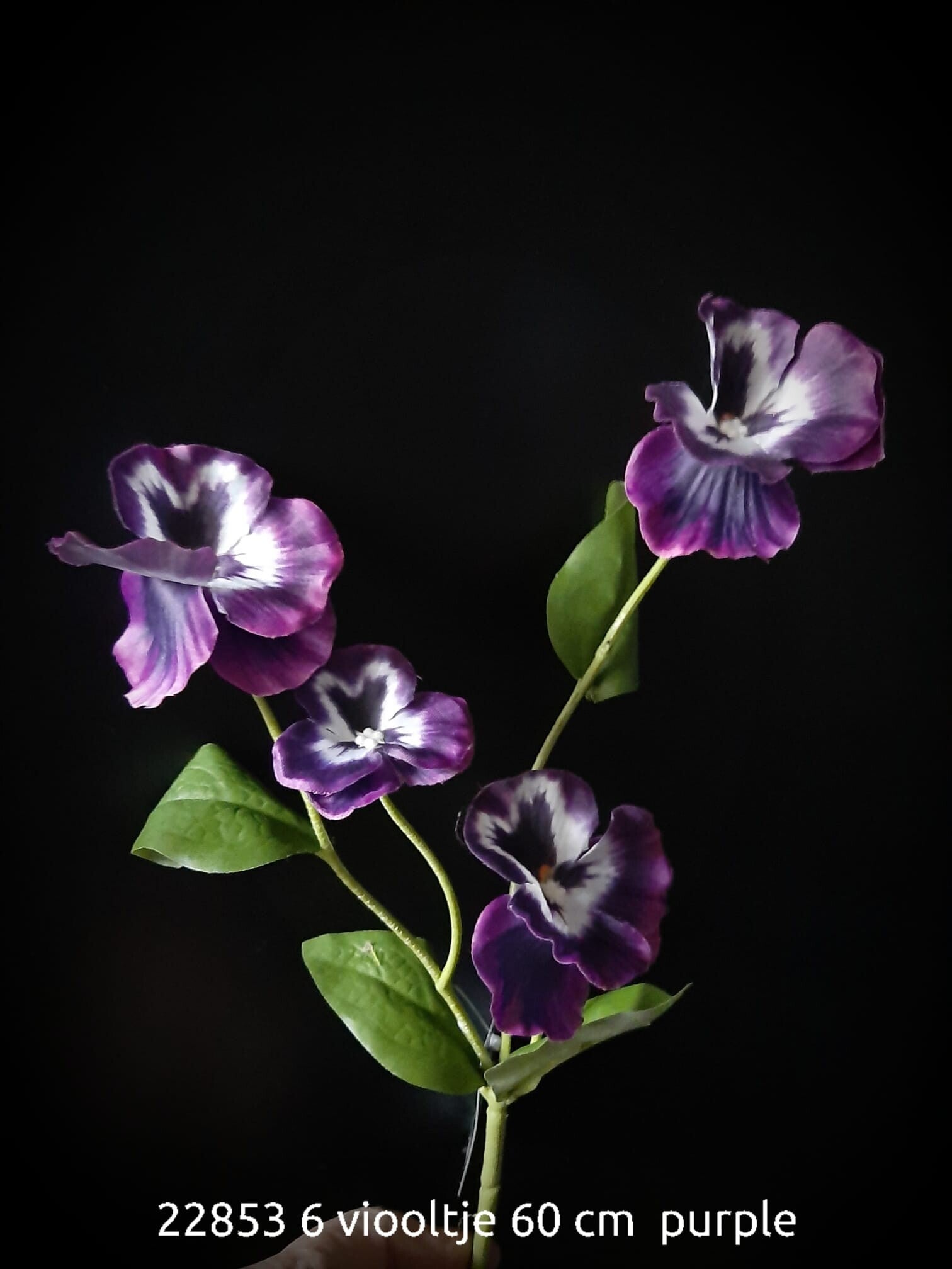 viooltje blauw wit (12853-6)