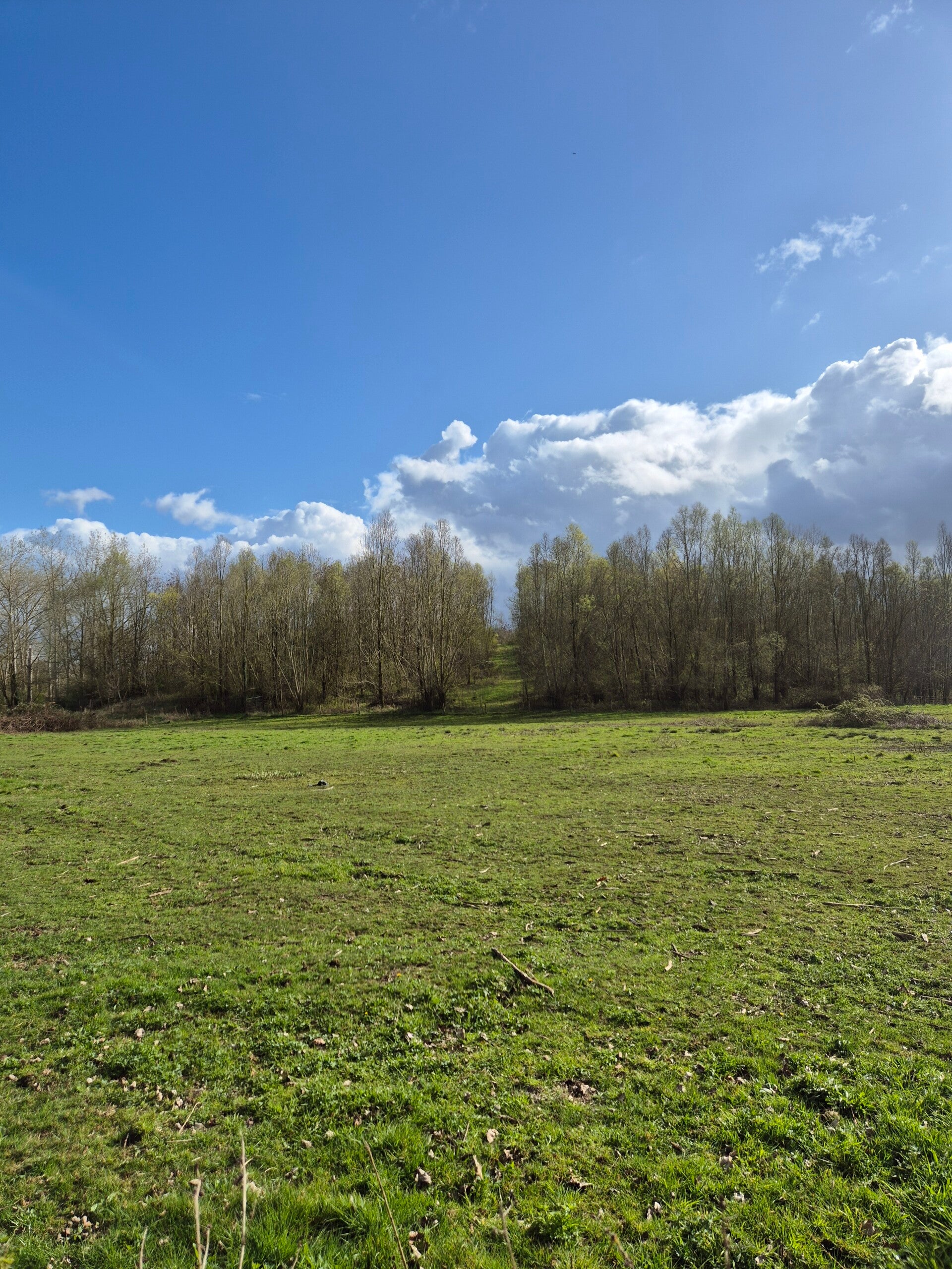 Uitzicht vanaf de Millenerberg, Sittard
