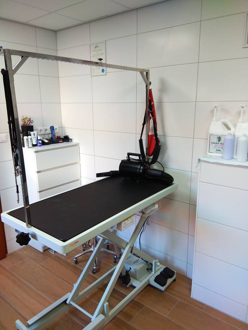 Hundesalon 3S innenaustattung