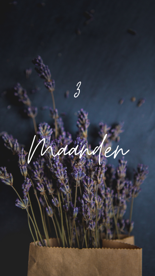 Drie maanden reading