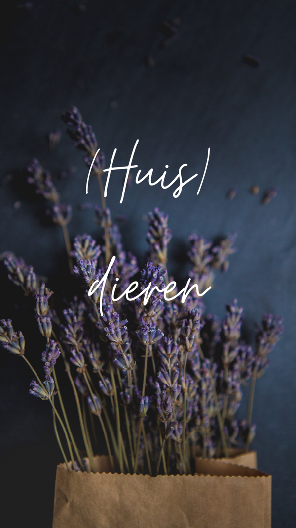(Huis)dieren