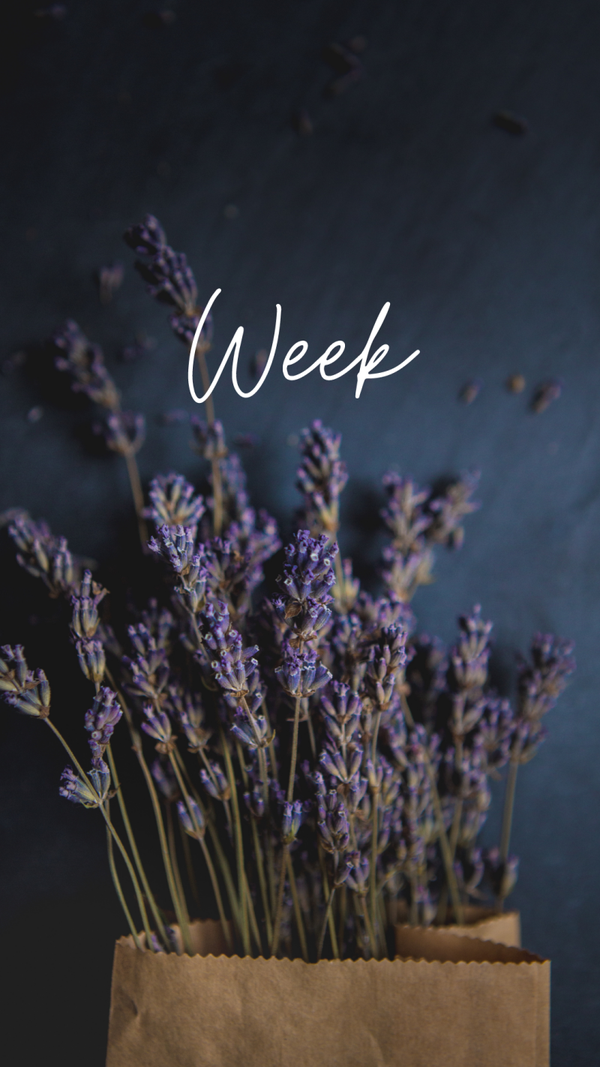 Week reading