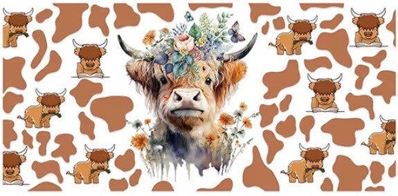 Beautiful Highland Cow