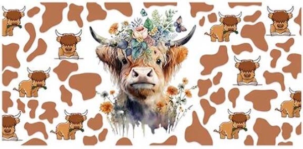 Beautiful Highland Cow