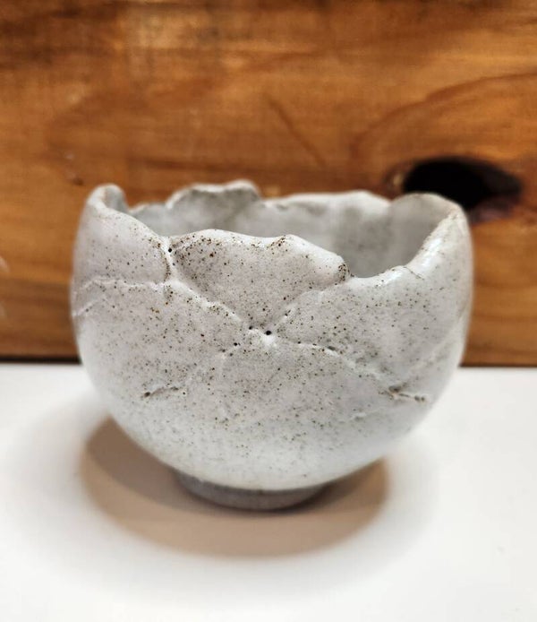 White with subtle speckle round pot
