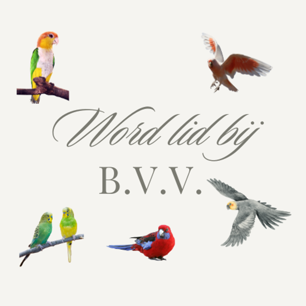 Lid worden - NB mail