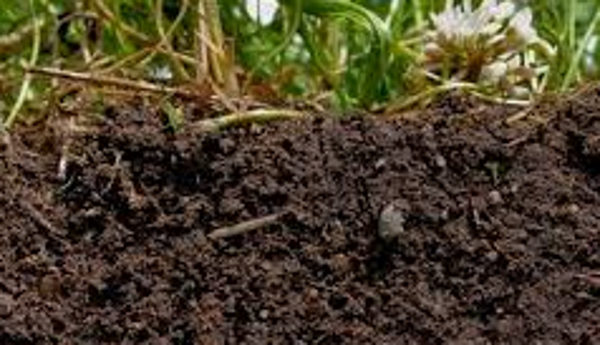 Aanplantingshumus 60liter