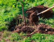 Plantput grond TOP kwaliteit incl. organische stof