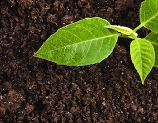 Potgrond algemeen bloemen 40L