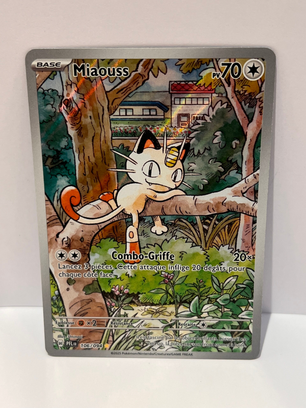 Miaouss (PFL 106) - FR - MN