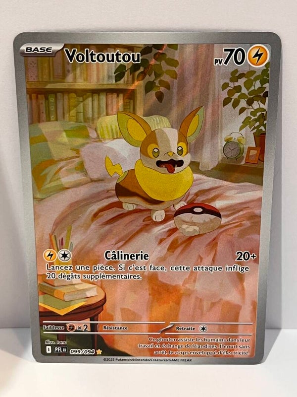 Voltoutou (PFL 099) FR