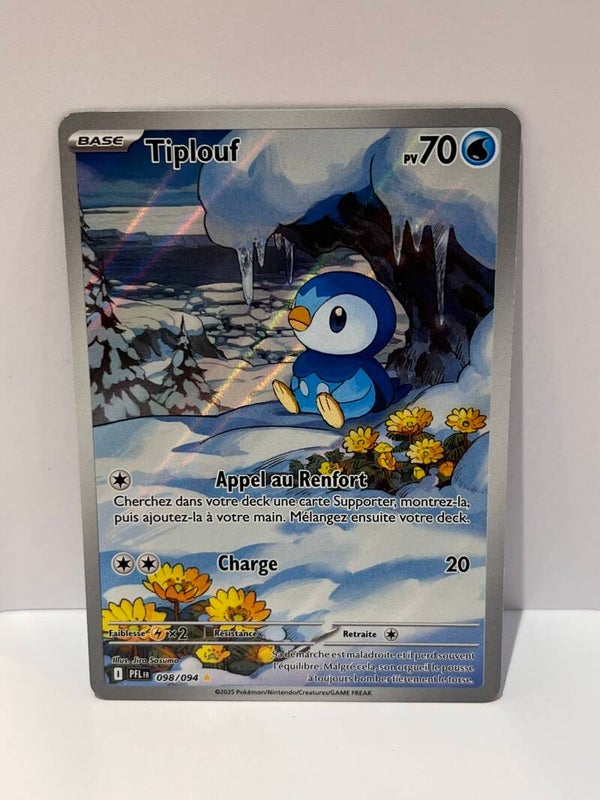 Tiplouf (PFL 098) - FR - NM