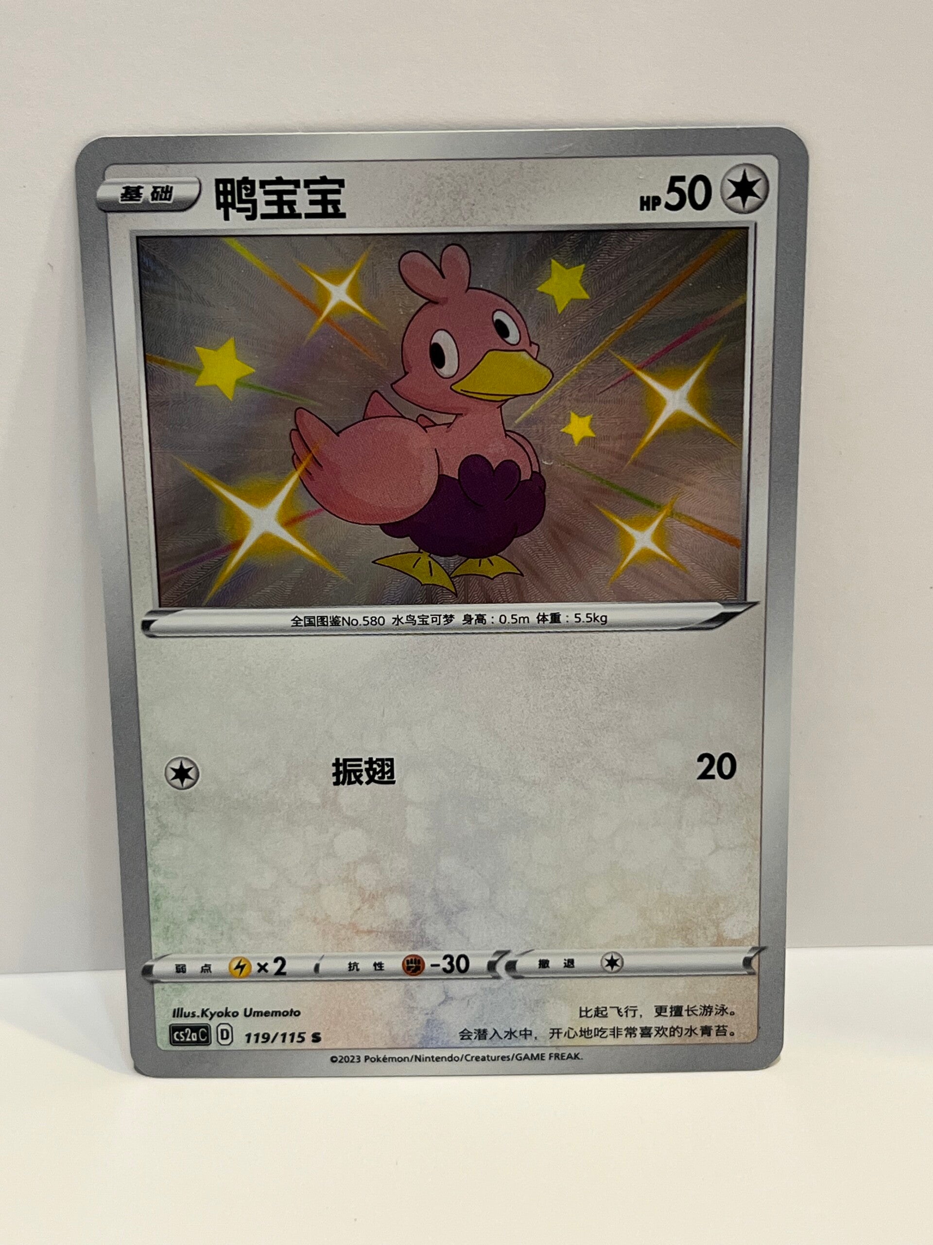 Couaneton shiny - CHN - NM