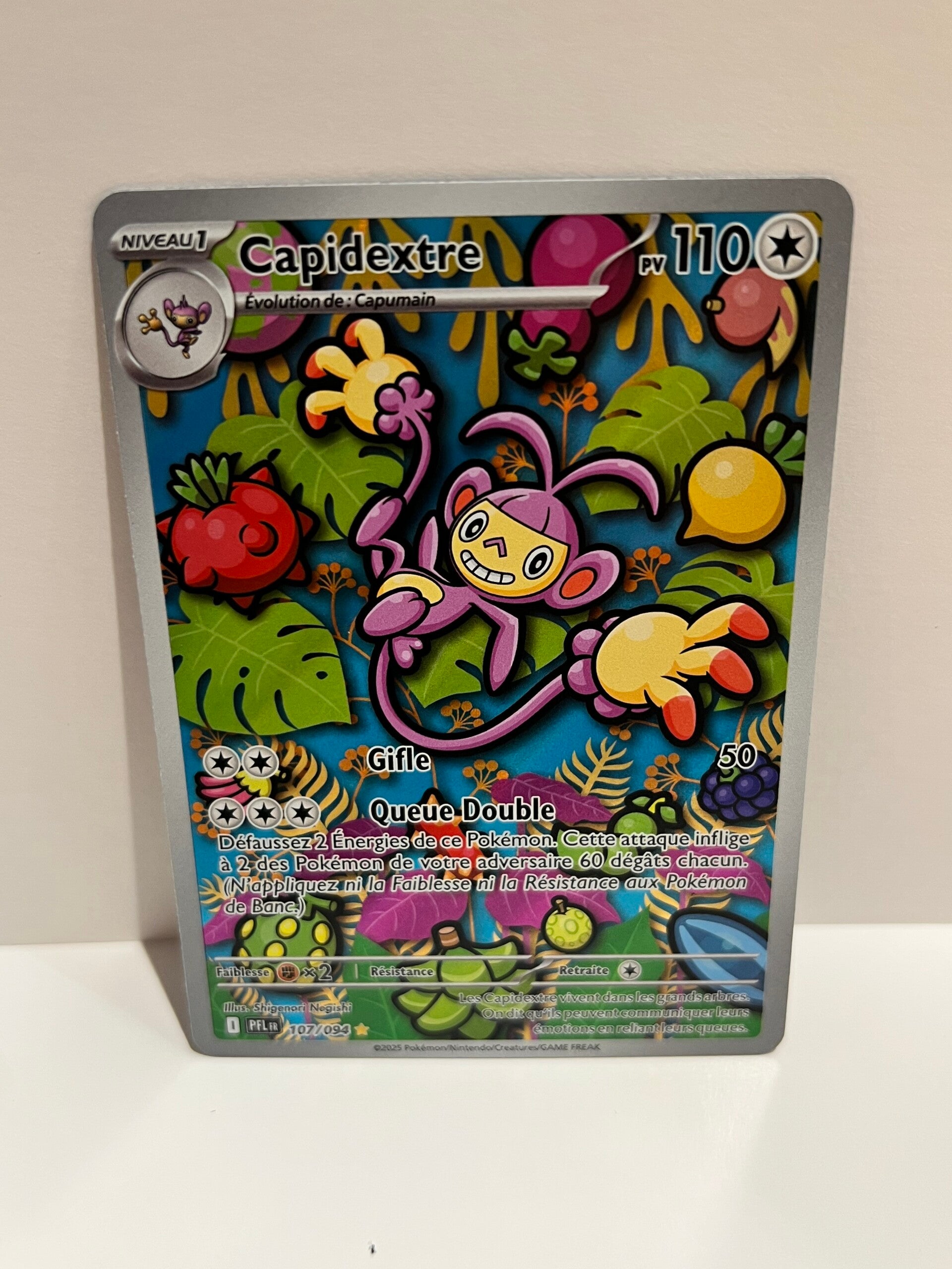 Capidextre (PFL 107) FR - NM