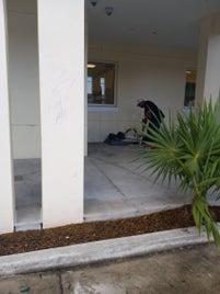 1000012324-standard.jpg