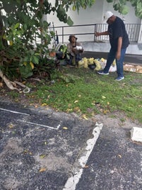 1000012331-standard.jpg